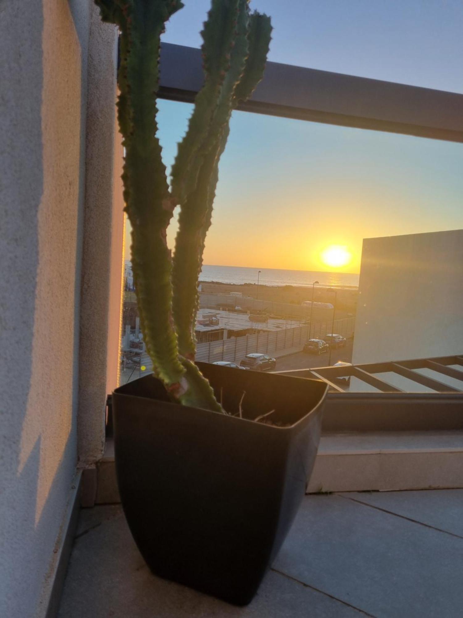 Azotea De Cotillo المظهر الخارجي الصورة